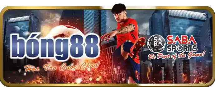 Cài đặt và đăng nhập Sodo666